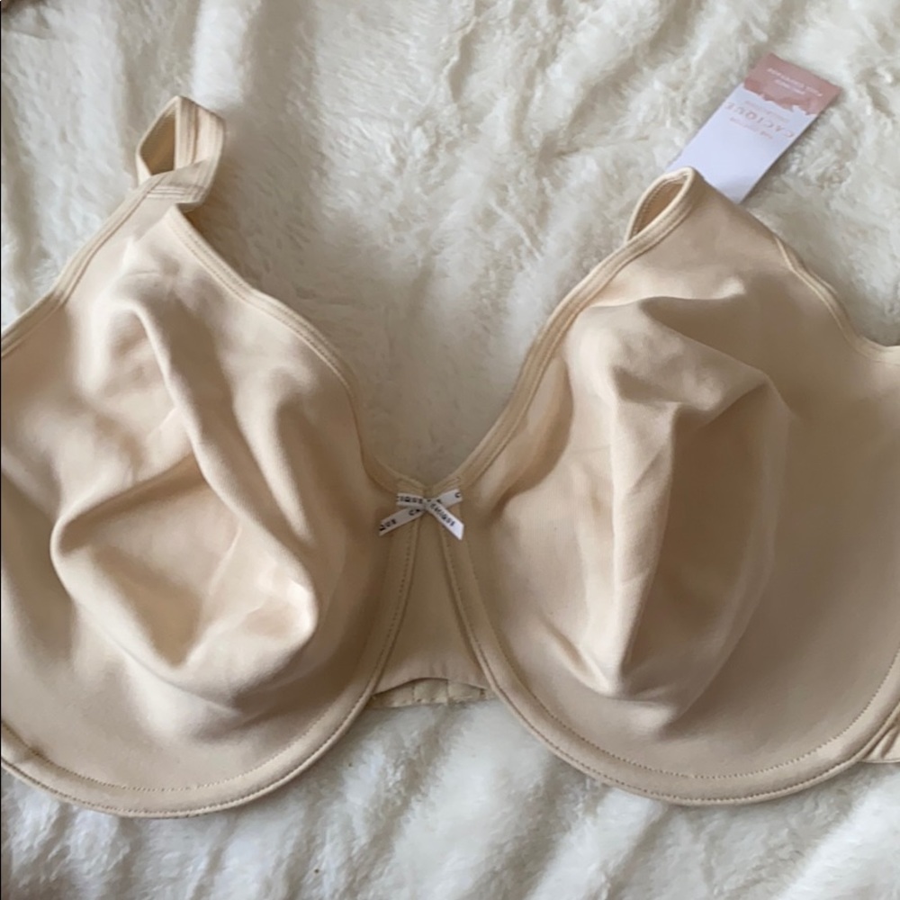 Lane Bryant Cacique New Cotton Bra 44DDD